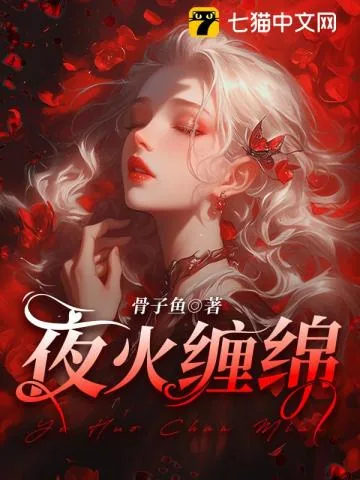 《夜火缠绵》小说封面