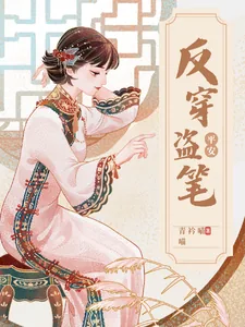 《反穿盗笔，岁岁平安》小说封面
