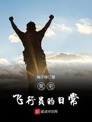 《死宅飞行员的日常》小说封面