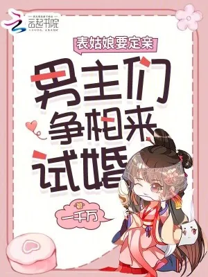 《表姑娘要定亲，男主们争相来试婚》小说封面