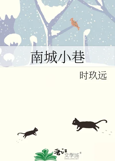 《南城小巷》小说封面