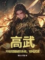 《高武：开局觉醒破防系统，梭哈武道》小说封面