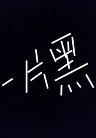 《一片黑》小说封面