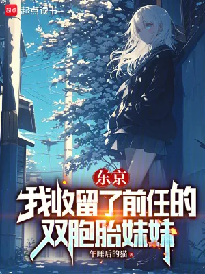 《东京：我收留了前任的双胞胎妹妹》小说封面