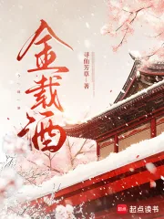 《今载酒》小说封面