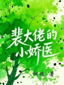 《裴大佬的小娇医》小说封面