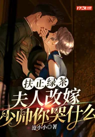 《扶正绿茶?夫人改嫁少帅你哭什么》小说封面