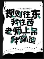 《规则往东我往西，老师上吊我蹦迪》小说封面