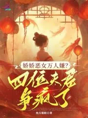《娇娇恶女万人嫌？四位夫君争疯了》小说封面