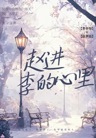 《赵进李的心里》小说封面