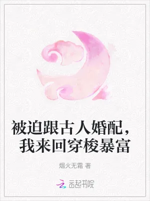 《被迫跟古人婚配，我来回穿梭暴富》小说封面