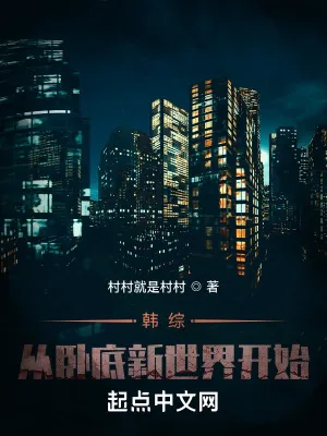 《韩综：从卧底新世界开始》小说封面