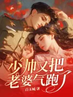 《少帅，苏小姐不爱你很久了》小说封面