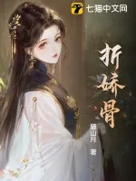《折娇骨》小说封面