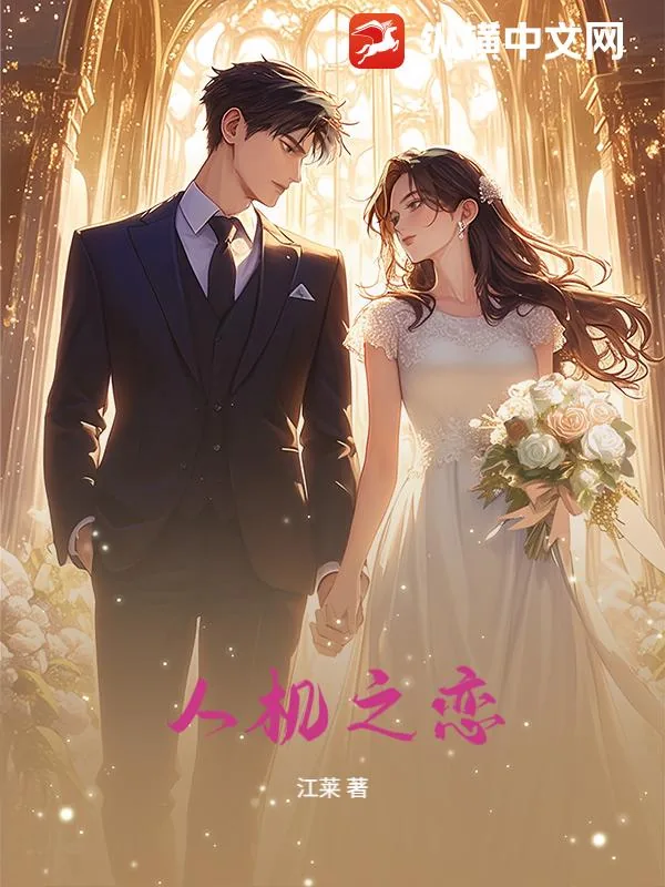 《人机之恋》小说封面