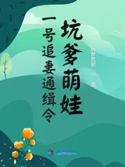 《一号追妻通缉令：坑爹萌娃》小说封面