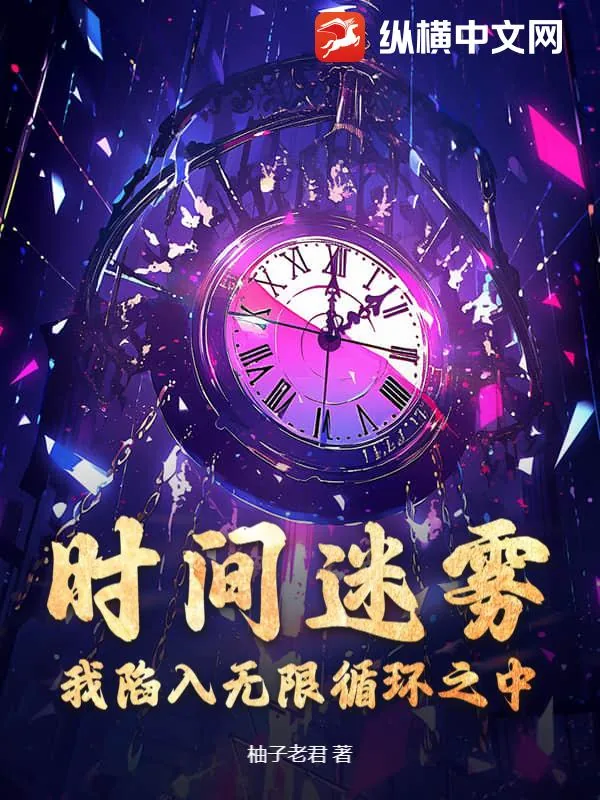 《时间迷雾：我陷入无限循环之中》小说封面