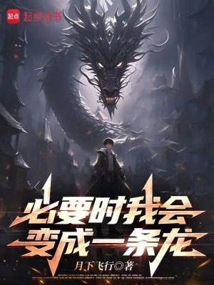 《必要时我会变成一条龙》小说封面