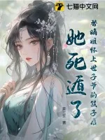 《替嫡姐怀上世子爷的孩子后，她死遁了》小说封面