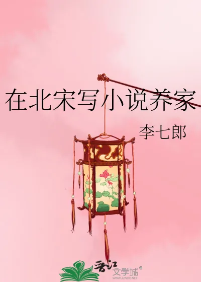 《在北宋写小说养家》小说封面