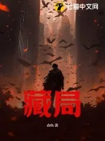 《藏局》小说封面