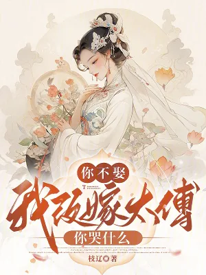《你不娶，我改嫁太傅你哭什么》小说封面