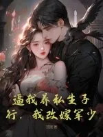 《逼我养私生子？行，我改嫁军少！》小说封面