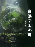《战洪72小时》小说封面