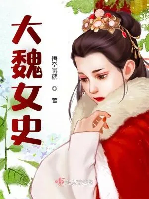 《大魏女史》小说封面