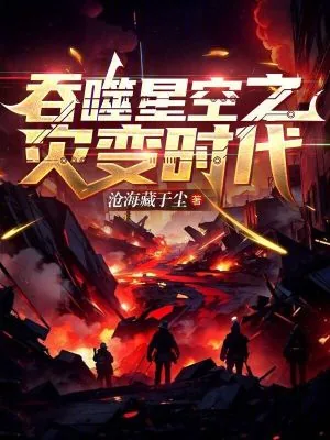《吞噬星空之灾变时代》小说封面