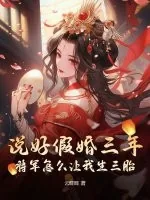 《说好假婚三年！将军怎么让我生三胎？》小说封面