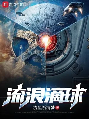 《流浪滴球》小说封面