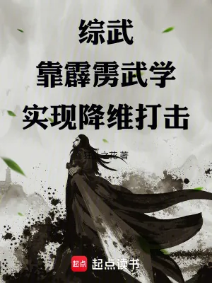 《综武：靠霹雳武学实现降维打击》小说封面