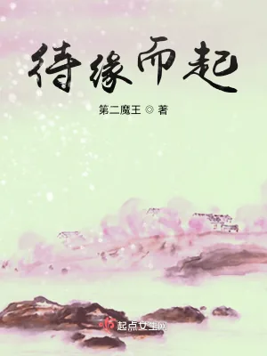 《待缘而起》小说封面