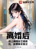 《离婚后，我上离婚综艺被疯抢，前妻跪求复合》小说封面
