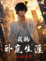 《我的卧底生涯》小说封面