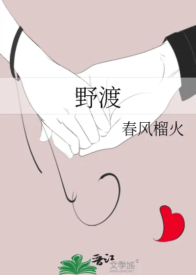 《野渡》小说封面