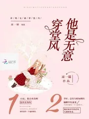 《他是无意穿堂风》小说封面