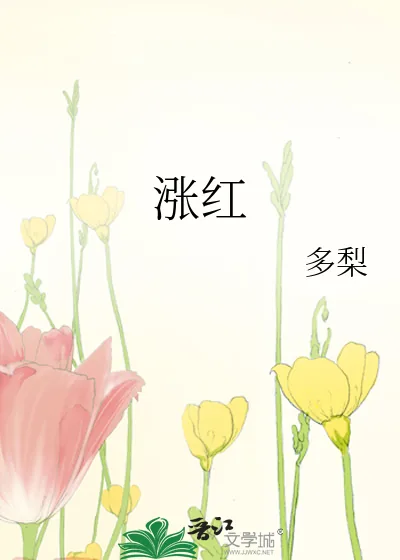 《涨红》小说封面