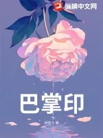 《巴掌印》小说封面