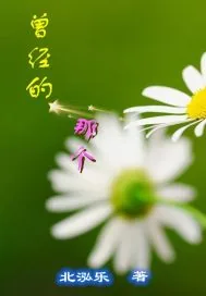 《曾经的那个》小说封面