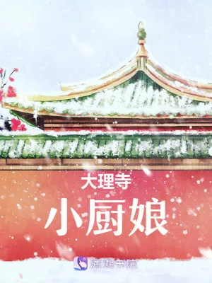 《大理寺小厨娘》小说封面