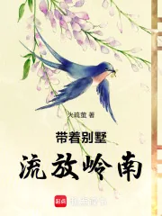 《带着别墅,流放岭南》小说封面