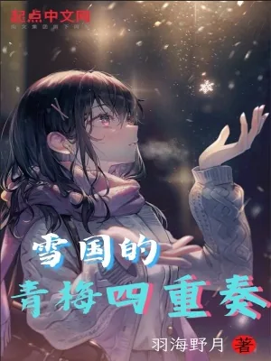 《雪国的青梅四重奏》小说封面