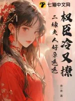 《权臣冷又撩，二嫁夫人好孕连连》小说封面
