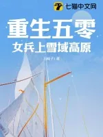 《重生五零,女兵上雪域高原》小说封面
