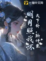《天下卦,斩奸臣,明月照我怀》小说封面