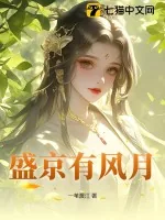 《盛京有风月》小说封面