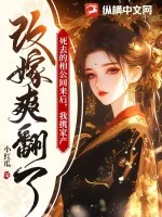《死去的相公回来后,我携家产改嫁爽翻了》小说封面