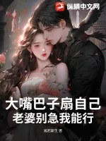 《大嘴巴子扇自己，老婆别急我能行》小说封面